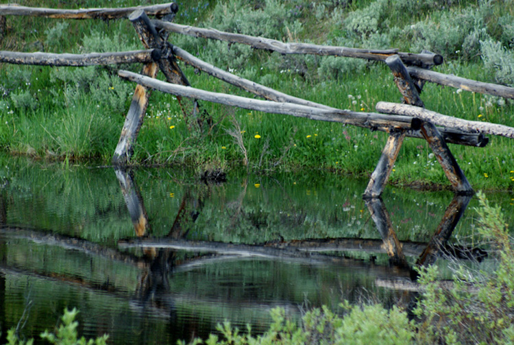 photo "fence on pond" tags: landscape, water