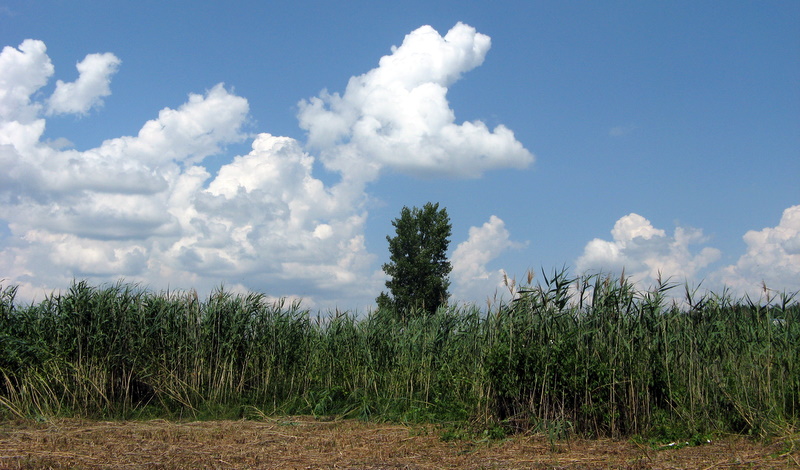 photo "***" tags: landscape, clouds