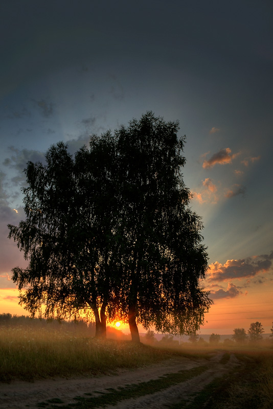 photo "***" tags: landscape, summer