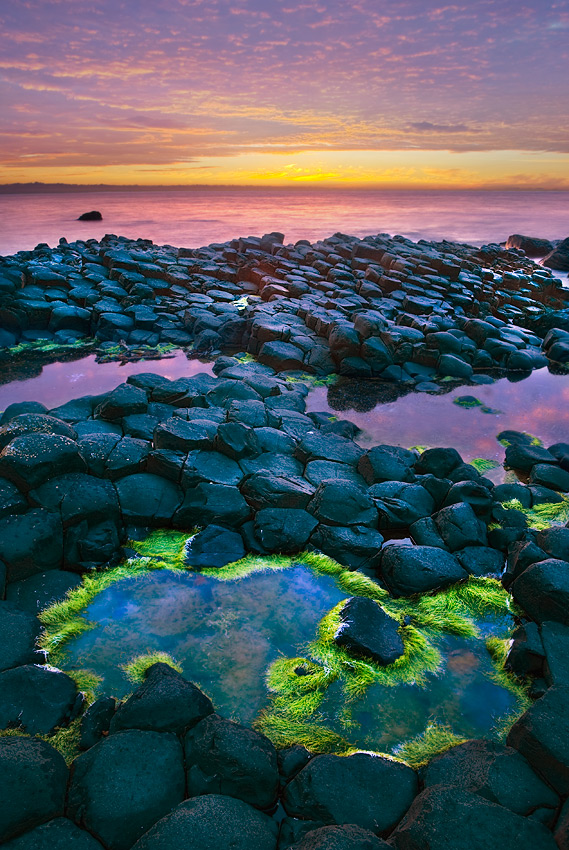 photo "Giant's Causeway" tags: landscape, 