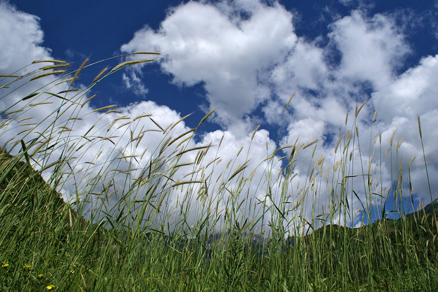 photo "***" tags: landscape, mountains, summer