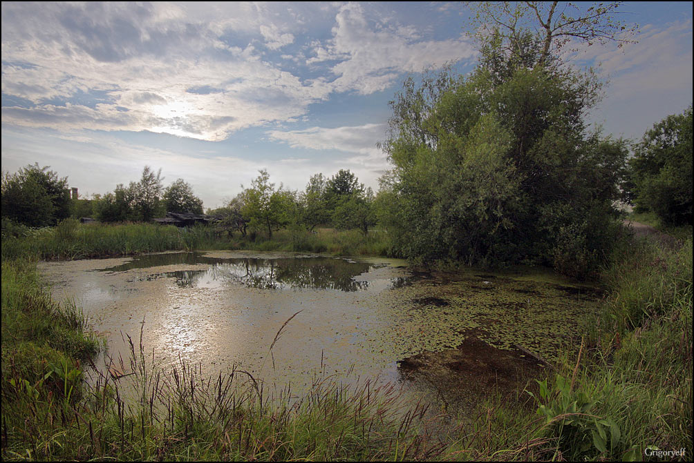 фото "Тропинка у пруда" метки: пейзаж, вода
