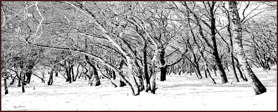 фото "Зимние зарисовки..." метки: пейзаж, 