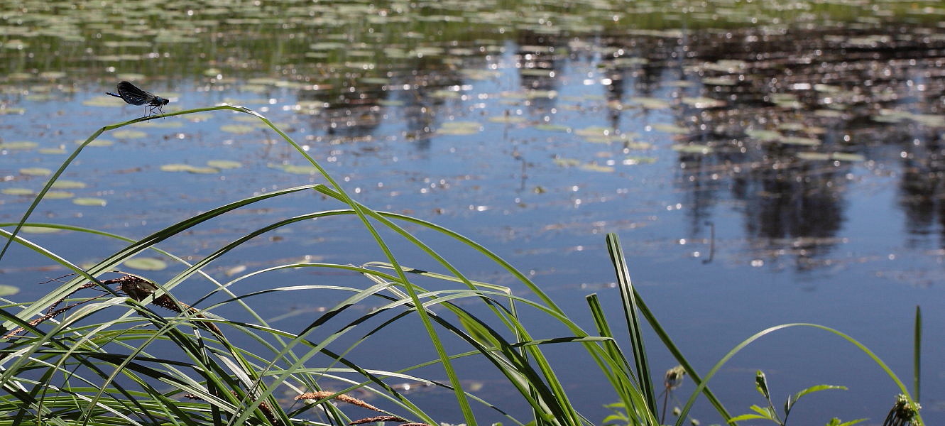 photo "***" tags: landscape, water