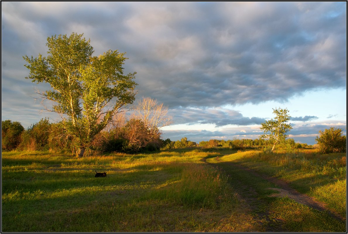 photo "***" tags: landscape, summer