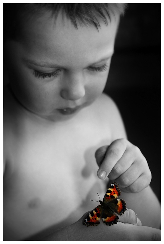 фото "Boy and a Butterfly" метки: портрет, дети