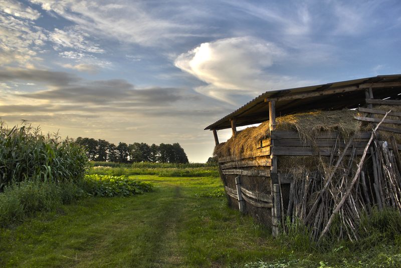 photo "***" tags: landscape, summer