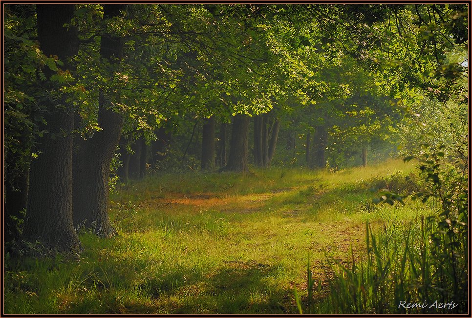 photo "BE QUIET HERE" tags: landscape, nature, flowers, sunset