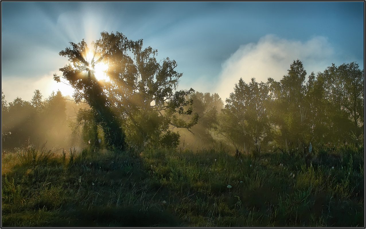 фото "Разрезая туман" метки: , 