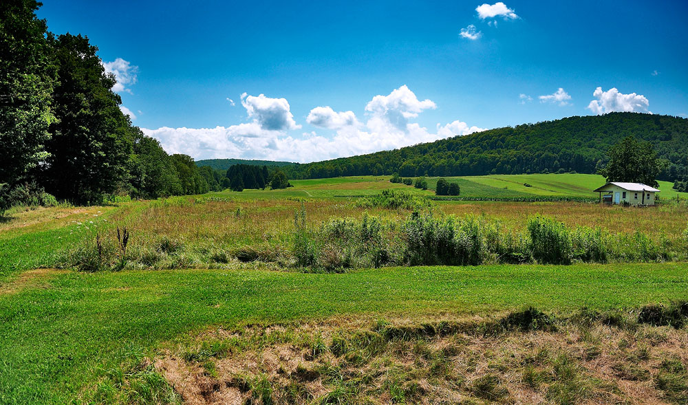 photo "***" tags: landscape, summer