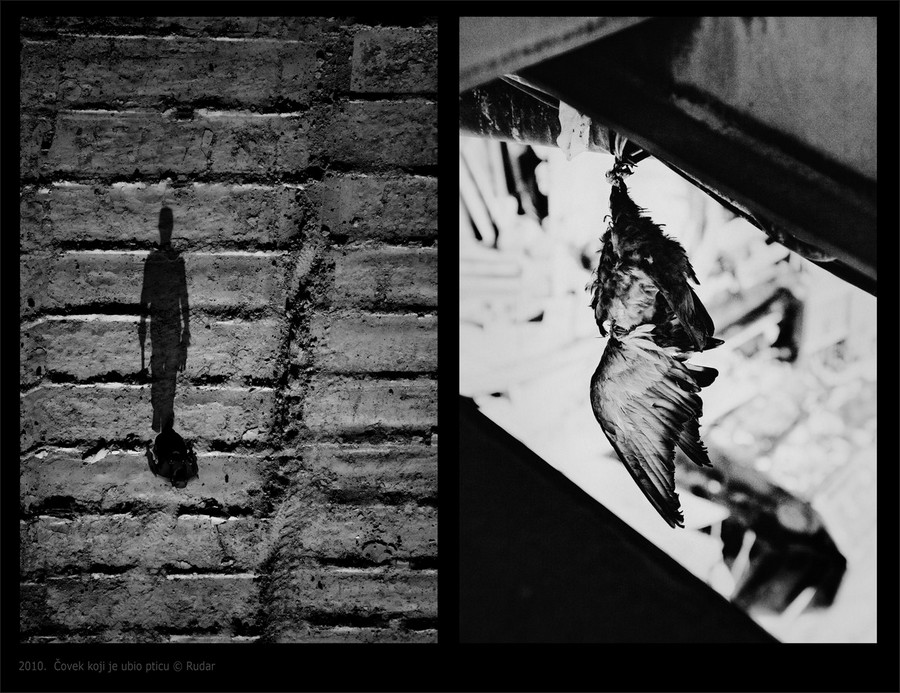 photo "Man Who Kill the Bird" tags: black&white, nature, 