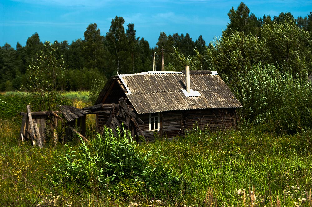 фото "..кто в невысоком живет?" метки: разное, 