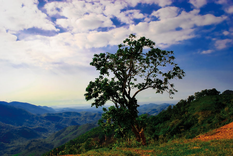 photo "***" tags: landscape, mountains, summer