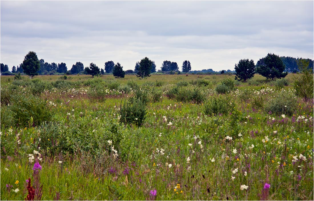 photo "***" tags: landscape, summer