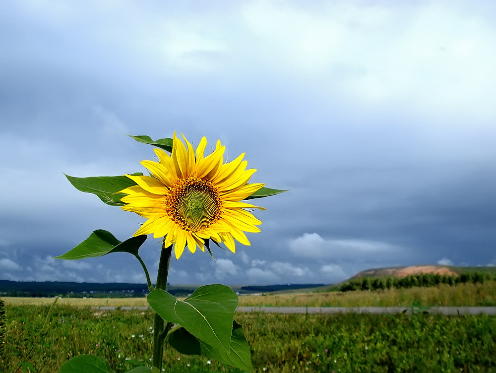 photo "***" tags: landscape, summer