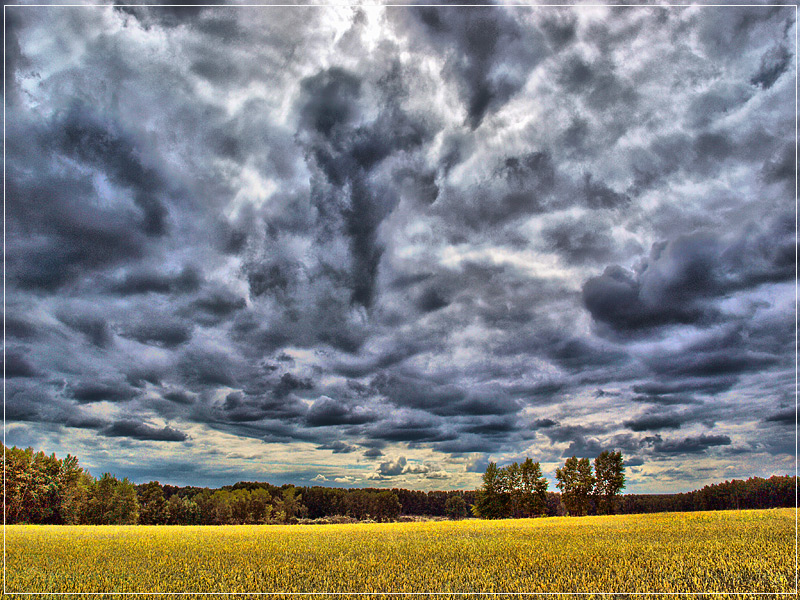 photo "Autumn in late July" tags: landscape, clouds, summer