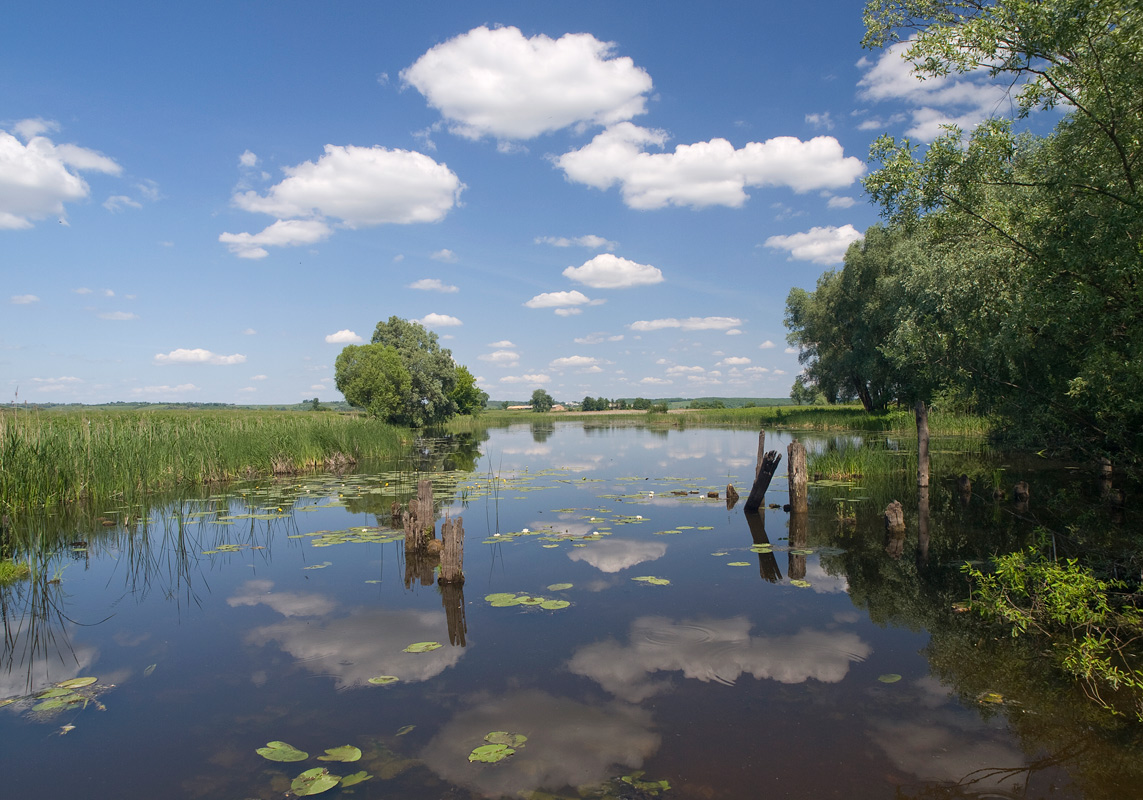 фото "Полдень" метки: пейзаж, вода, лето