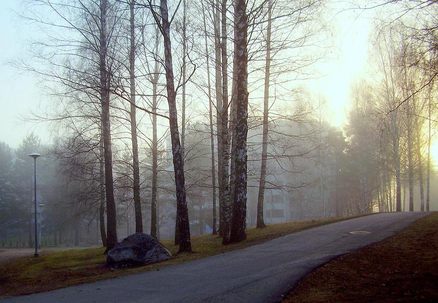 фото "ранннее утро осени" метки: пейзаж, 