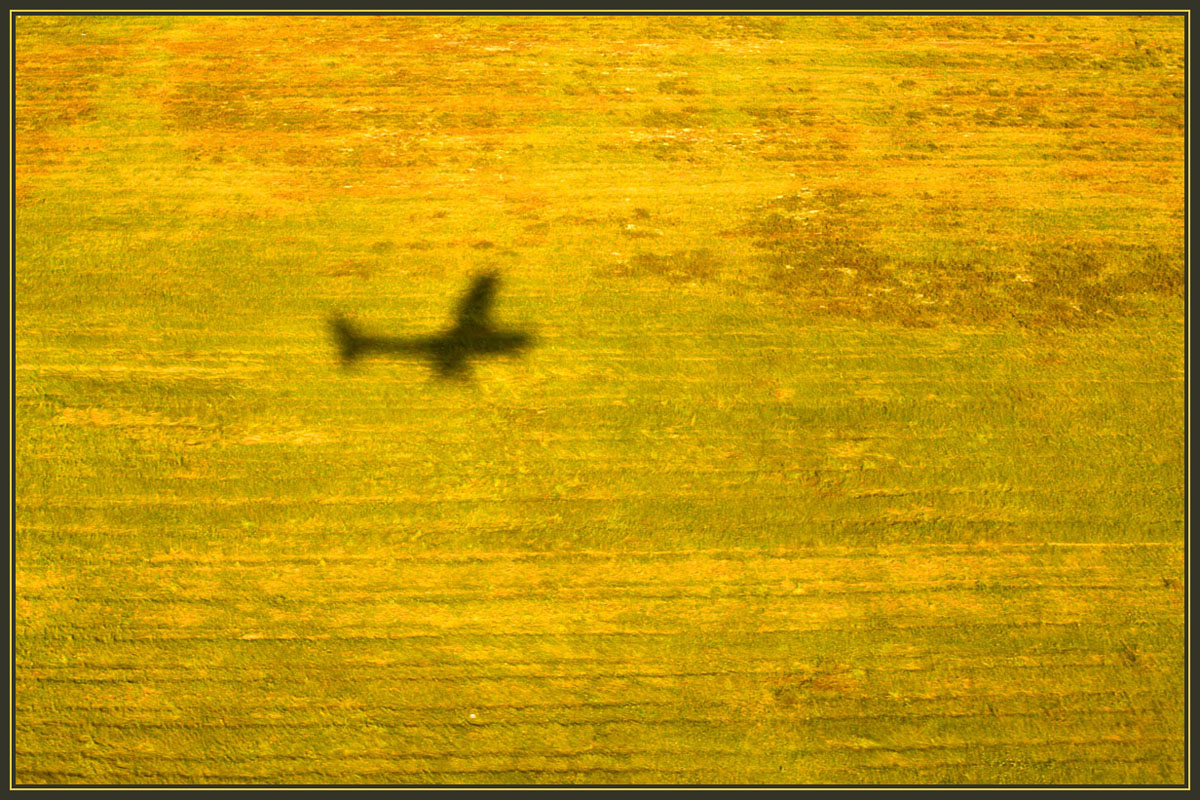 photo "Flight" tags: misc., 