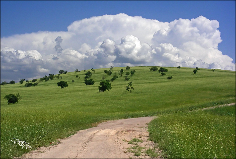 photo ""TO THE CLOUDS"" tags: landscape, mountains, summer