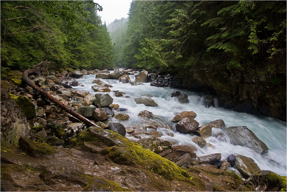 photo "***" tags: landscape, forest, water