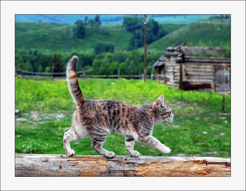 photo "XINJIANG-impression-8" tags: travel, architecture, landscape, 