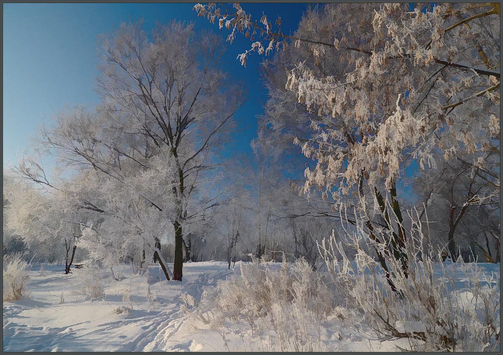 photo "***" tags: landscape, city, winter