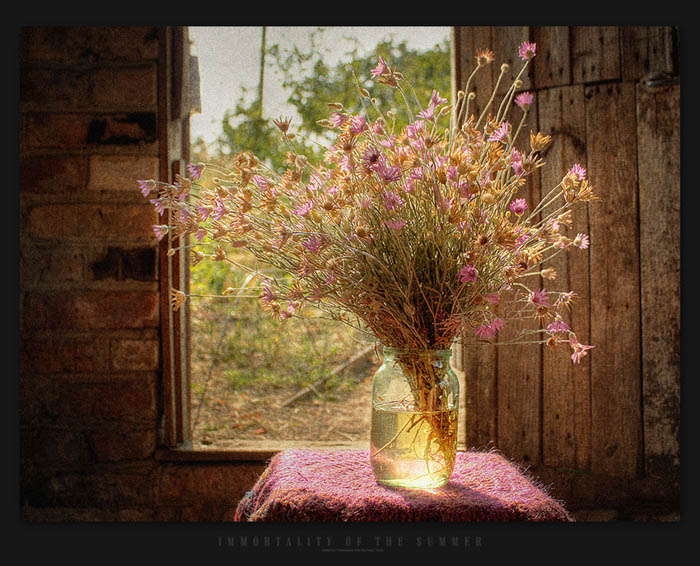 photo "***" tags: still life, 