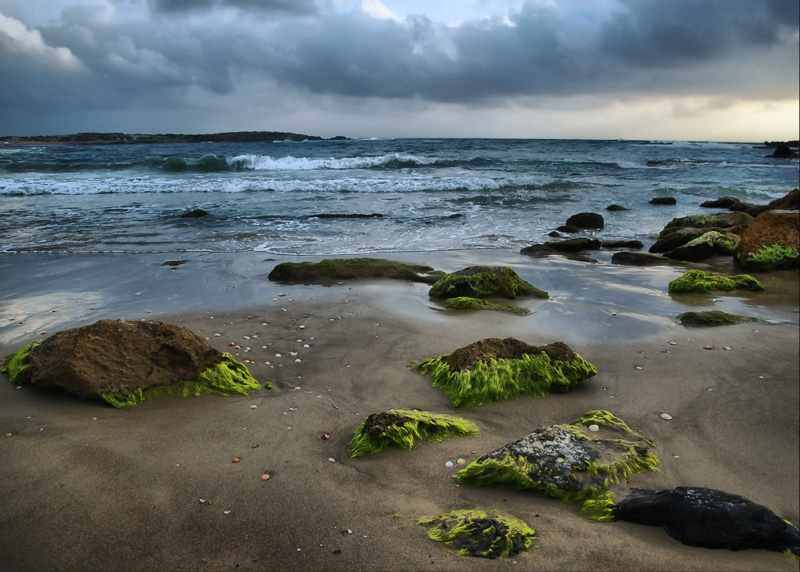 photo "***" tags: landscape, summer, water