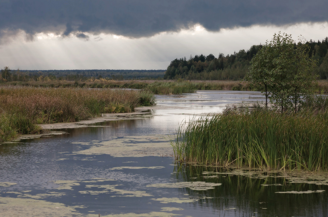 photo "***" tags: landscape, summer