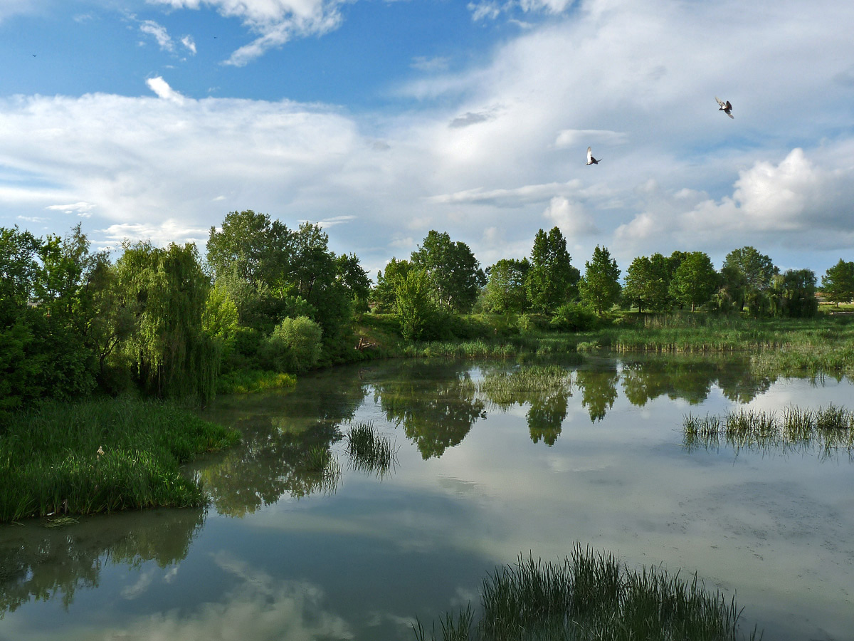 фото "***" метки: пейзаж, 