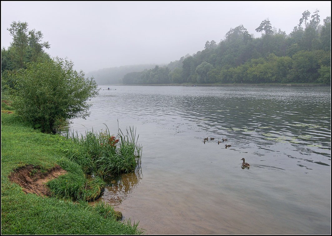 photo "misty landscape" tags: landscape, summer, water