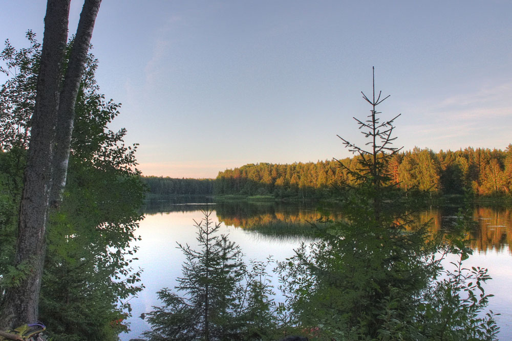 photo "***" tags: landscape, forest, water