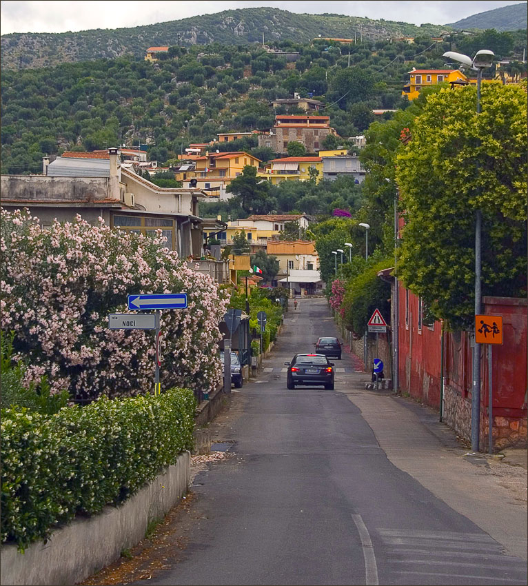 photo "Blooming street." tags: architecture, travel, landscape, Europe