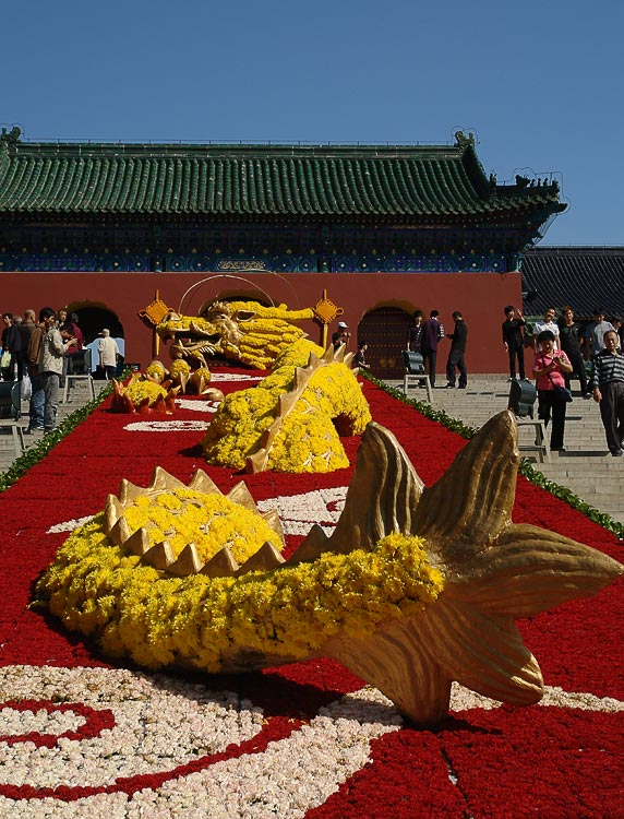 photo "Chineese dragon" tags: nature, city, flowers