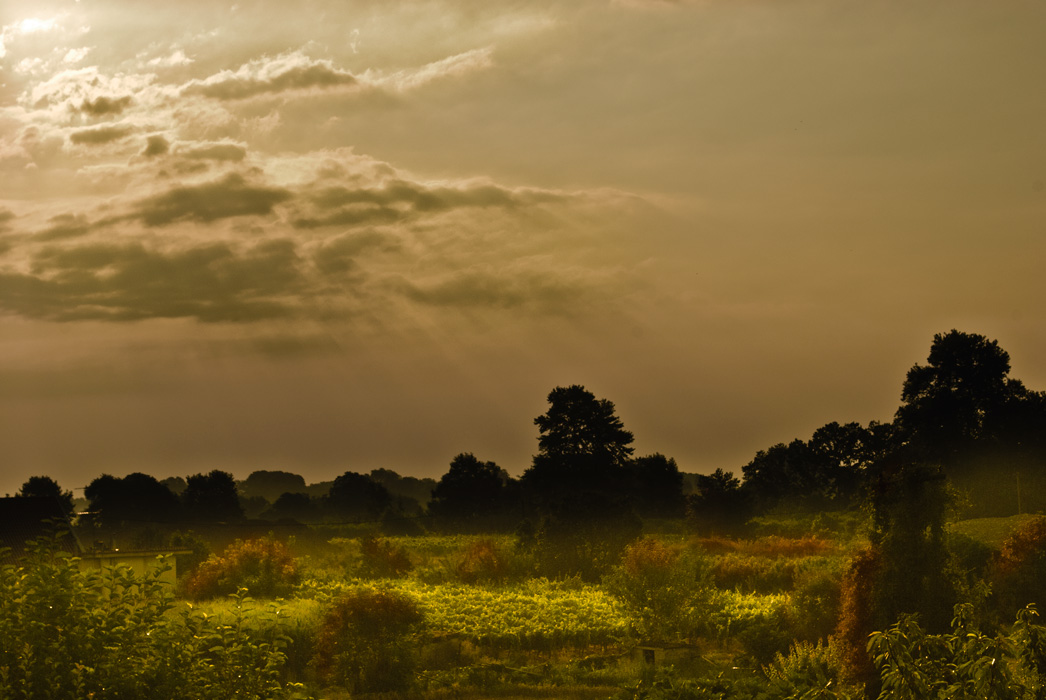 photo "***" tags: landscape, sunset