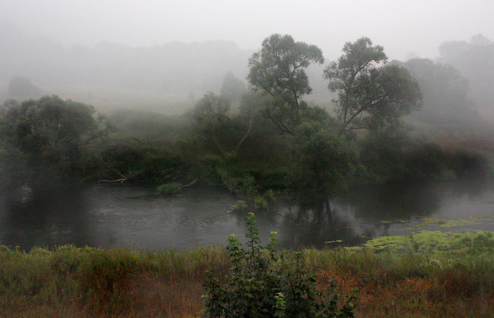 photo "***" tags: landscape, summer, water