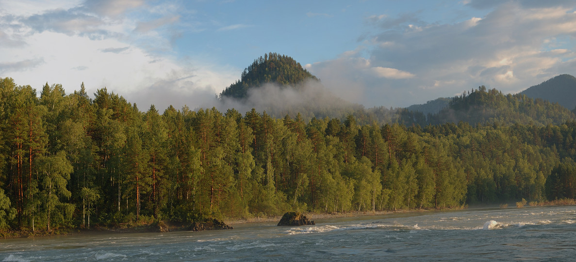 photo "Lukovka" tags: landscape, forest, summer