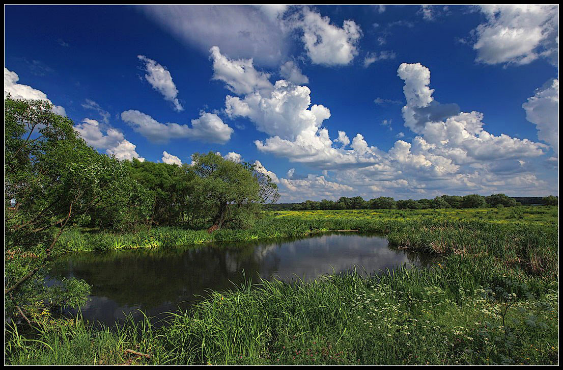 photo "small lake" tags: landscape, summer, water