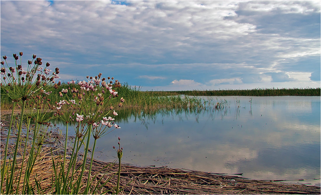 photo "***" tags: landscape, summer