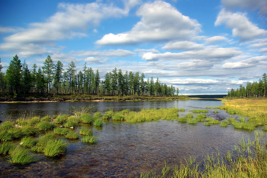 photo "***" tags: landscape, summer, water