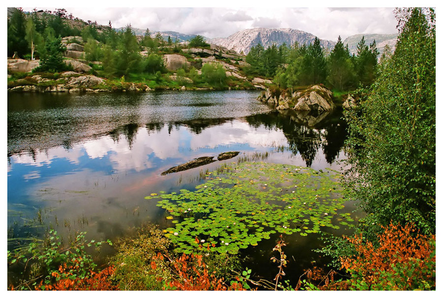 photo "***" tags: landscape, summer, water