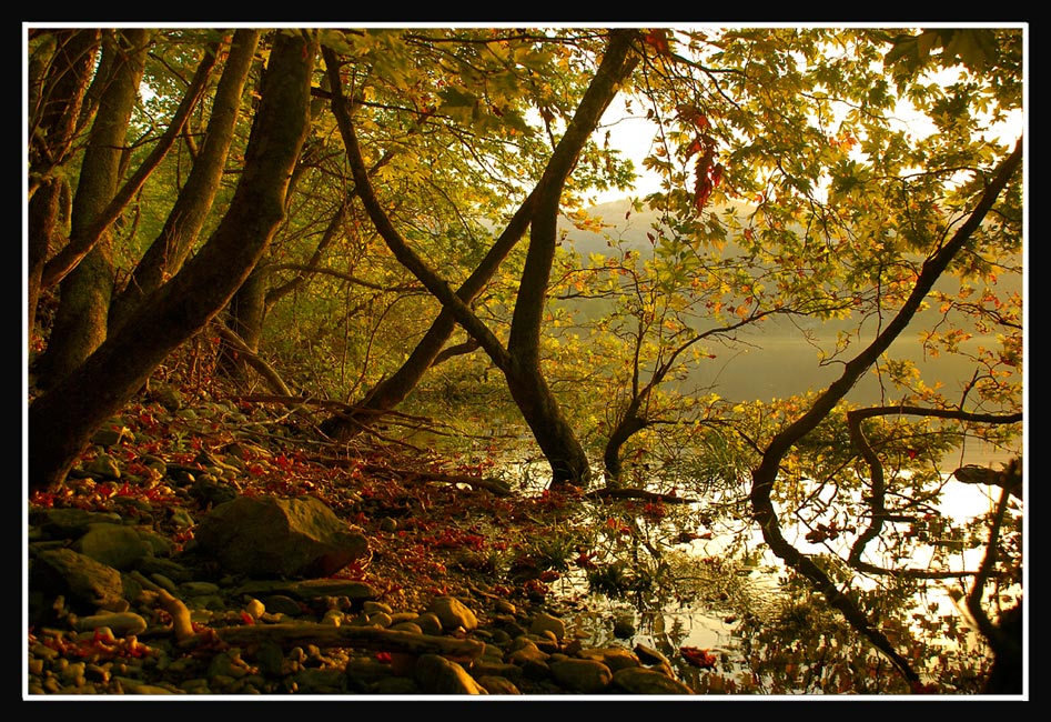 фото "***" метки: пейзаж, 