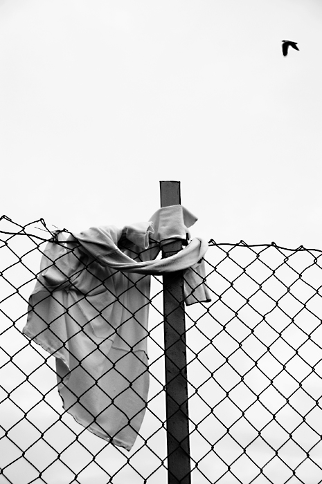 photo "Shirt on Fence, Norway 2007" tags: black&white, 