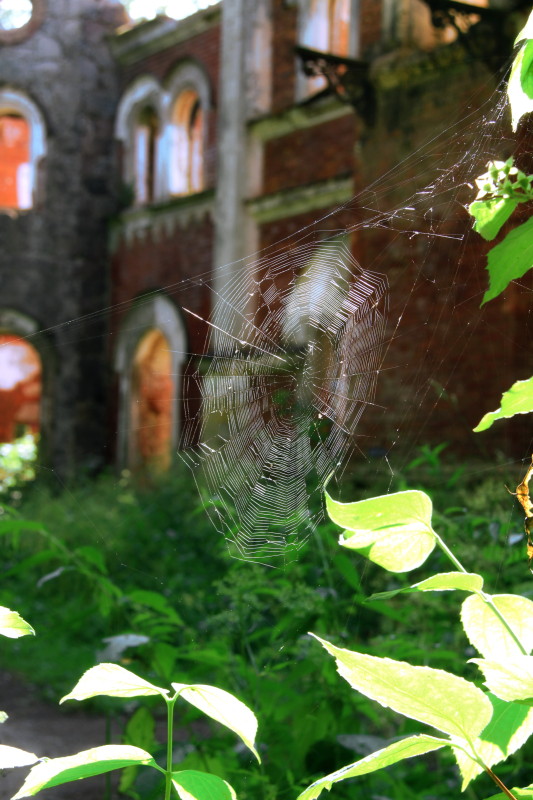 photo "On the ruins" tags: architecture, landscape, 