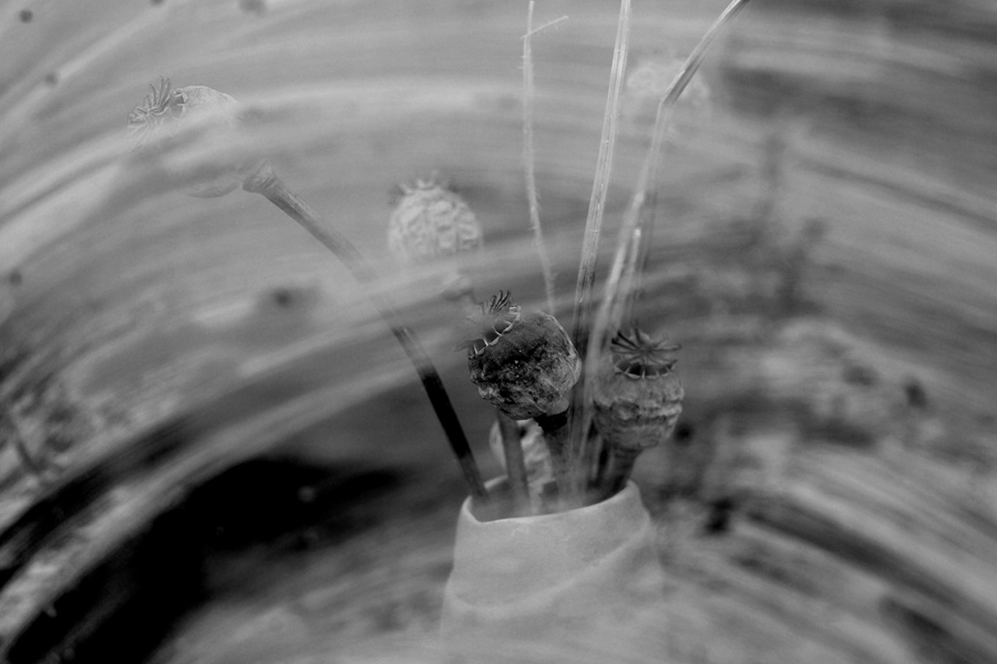 photo "Vase with a poppy" tags: still life, 