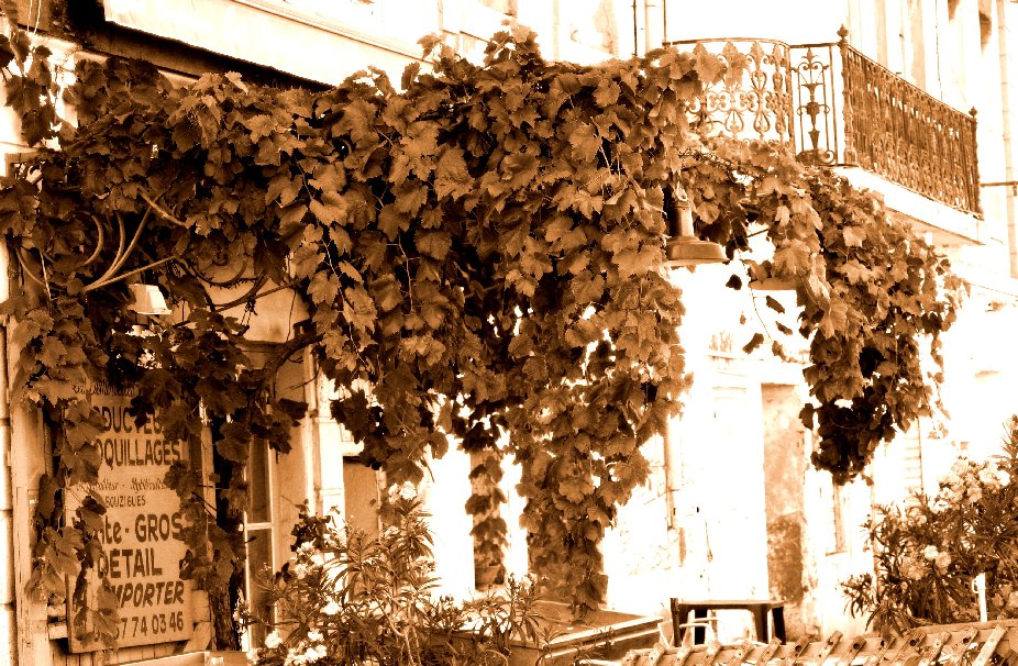 фото "a corner" метки: архитектура, пейзаж, 