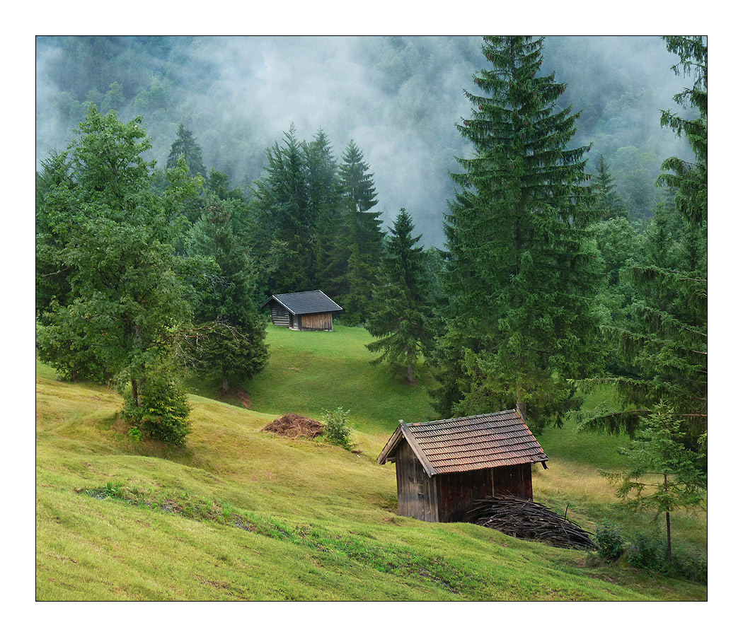 photo "***" tags: landscape, clouds, forest