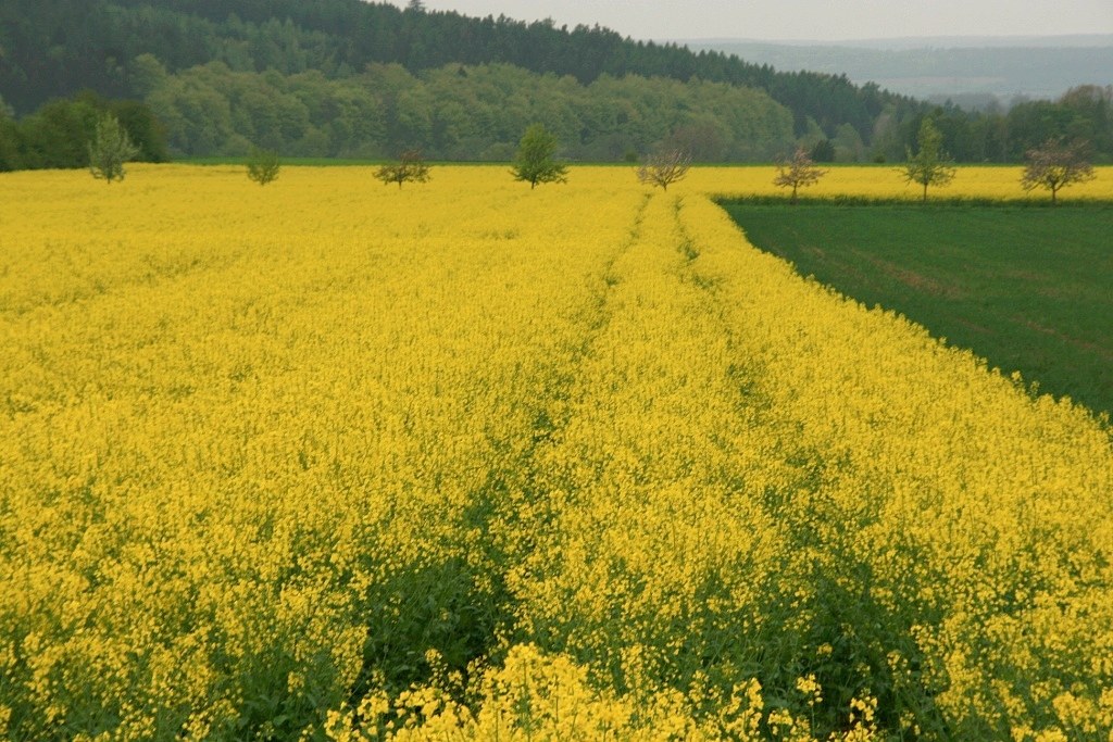 photo "***" tags: travel, landscape, Europe, spring