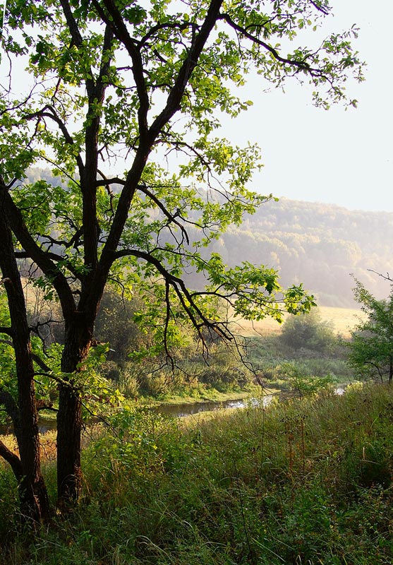 photo "***" tags: landscape, summer